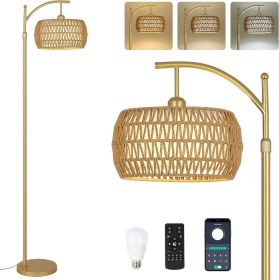Floor Lamp With 3 Color Temperatures, LED Gold Floor Lamp With Remote & Stepless Dimmable Bulb, (Round: BrownGold)