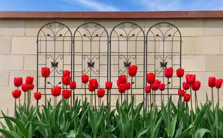 4 Pack Metal Garden Trellis 86.7" X 19.7" Rustproof Trellis For Climbing Plants Outdoor Flower Support (Round: Black)