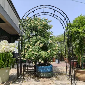 Metal Garden Arch L59'' X W17.71'' X H90.55'' Climbing Plants Support Rose Arch Outdoor Black (Round: Black)